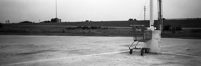 Shopping Cart