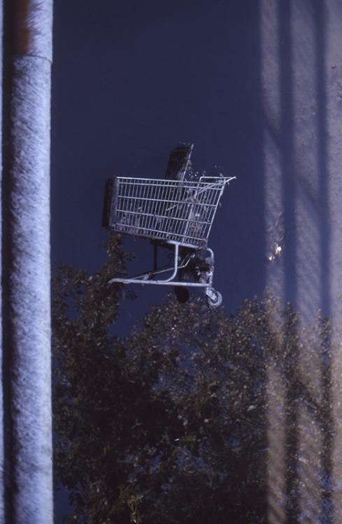 Shopping