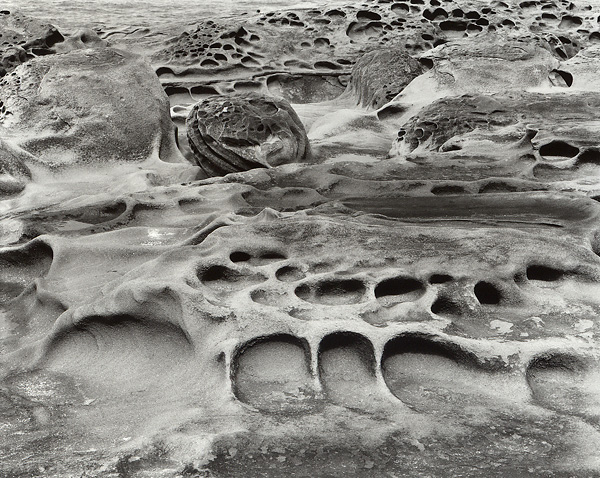 Shore Acres
