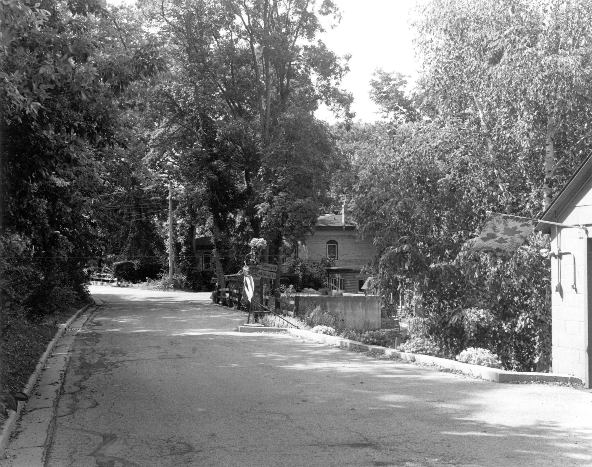 Shore Lane-1