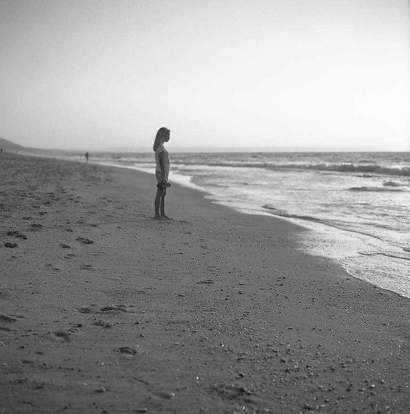 shore