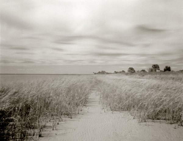 Shoreline