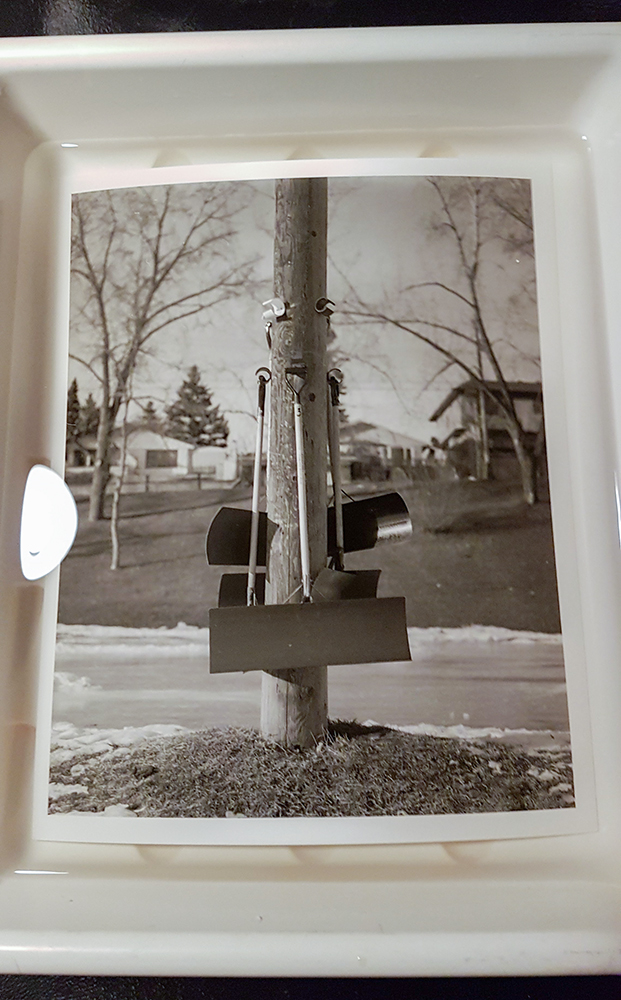 Shovels at Confederation Park