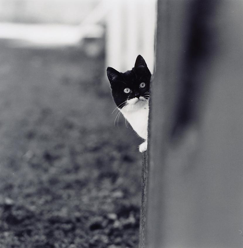 Shy but curious