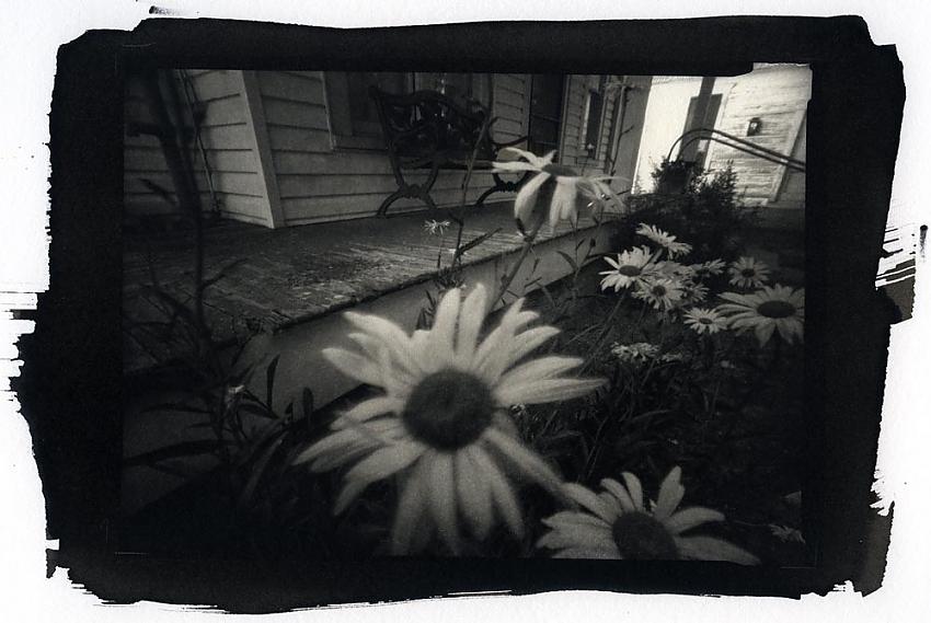 Side Porch and Daisies