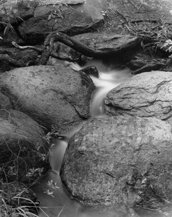 Side Stream Rock Creek