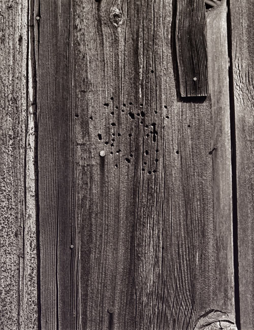 Siding
