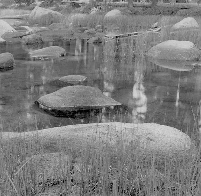 Sierra Pond, Yosemite Natl Park