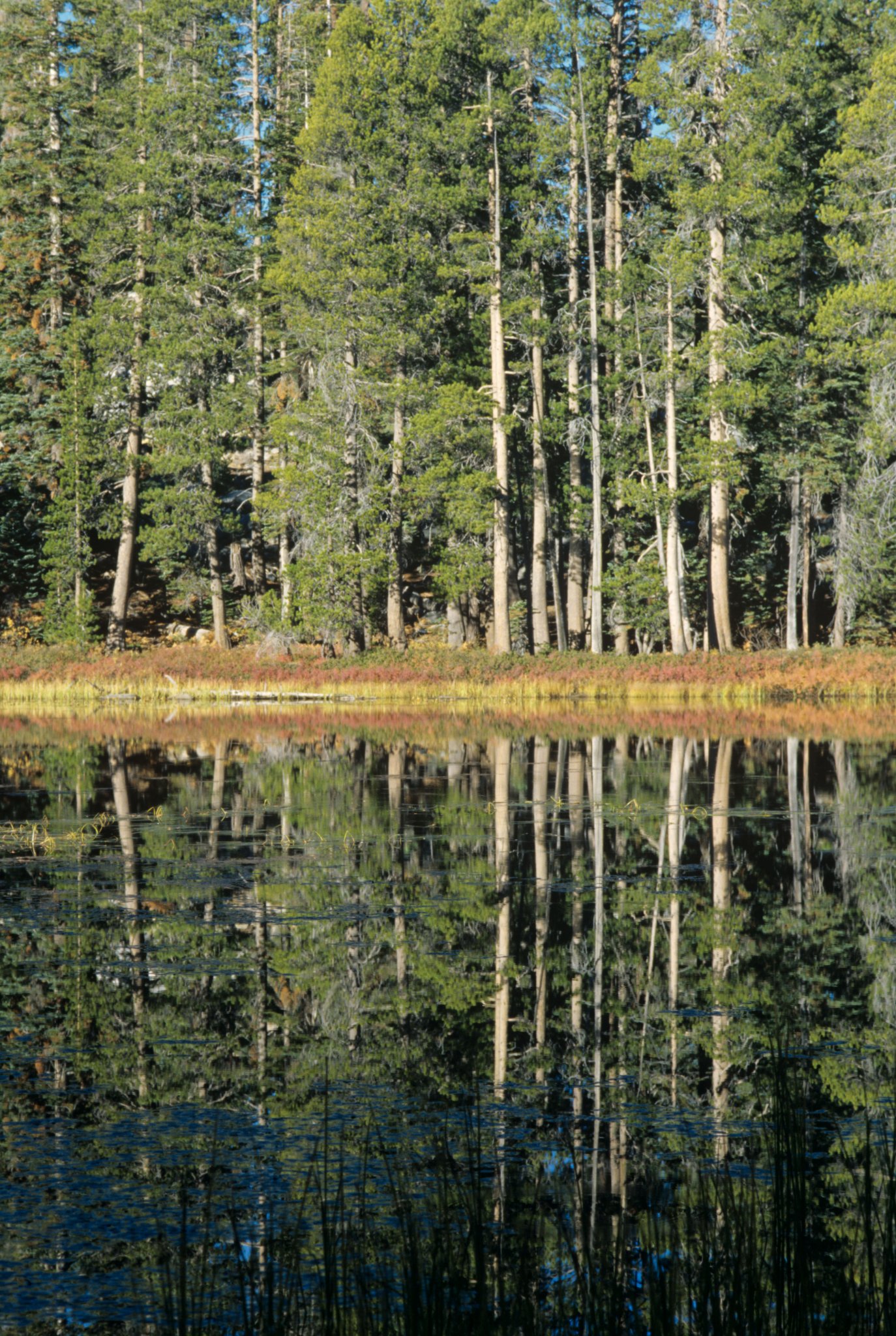 Siesta Lake