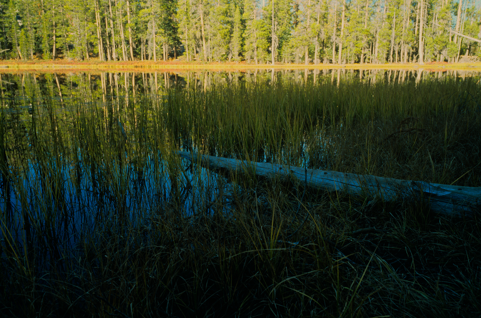 Siesta Lake