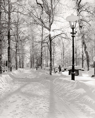 Silent Walk