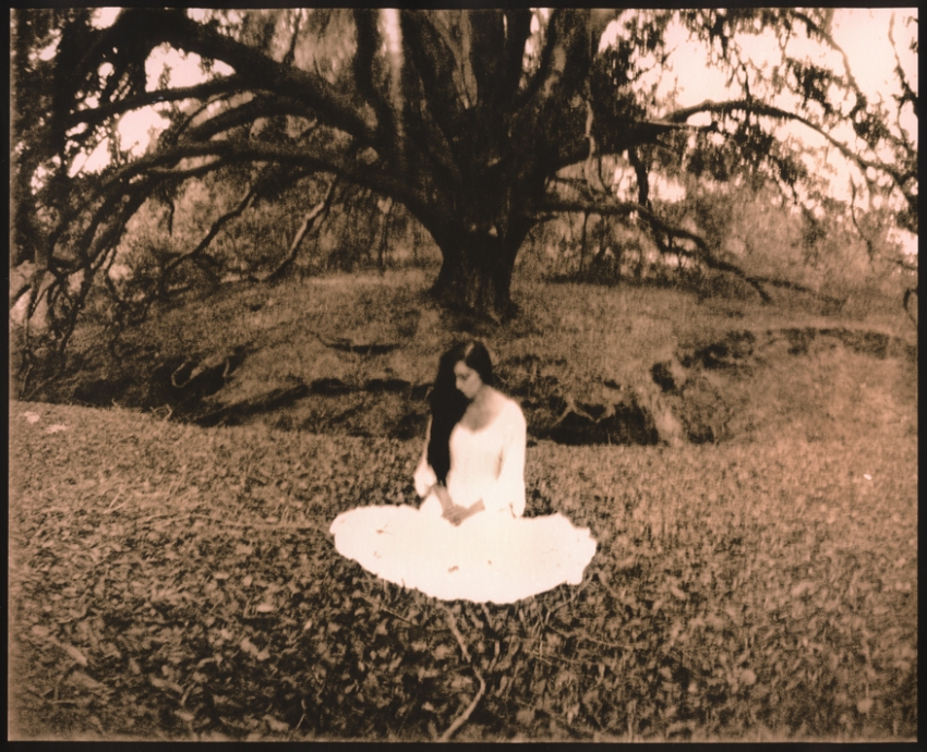 Silent Wind