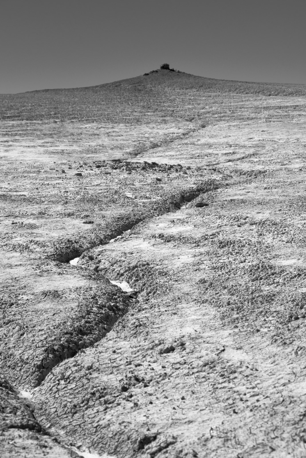 silent.world.1 (an indirect path)