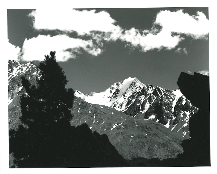 Silhouette Tree (Austrian Alps)