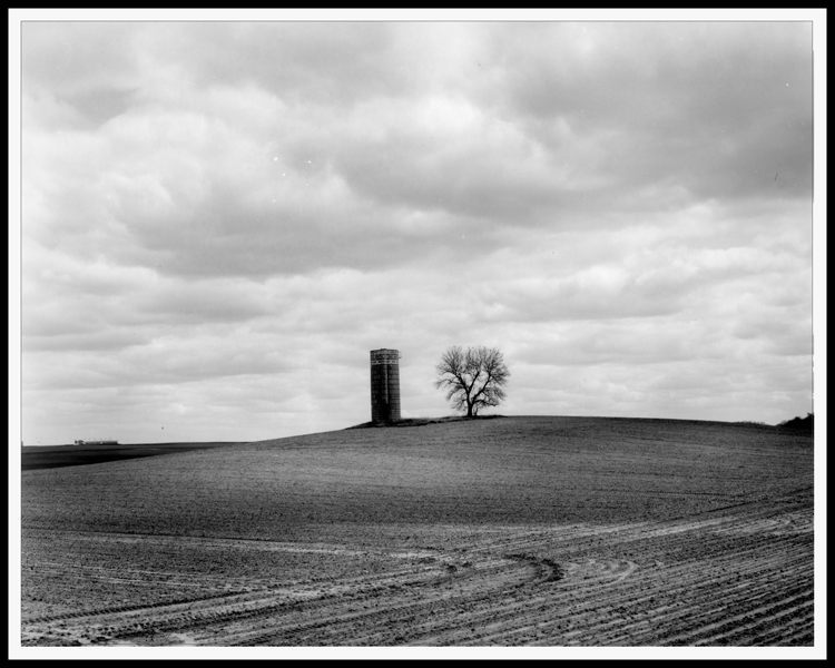 Silo &amp; Tree