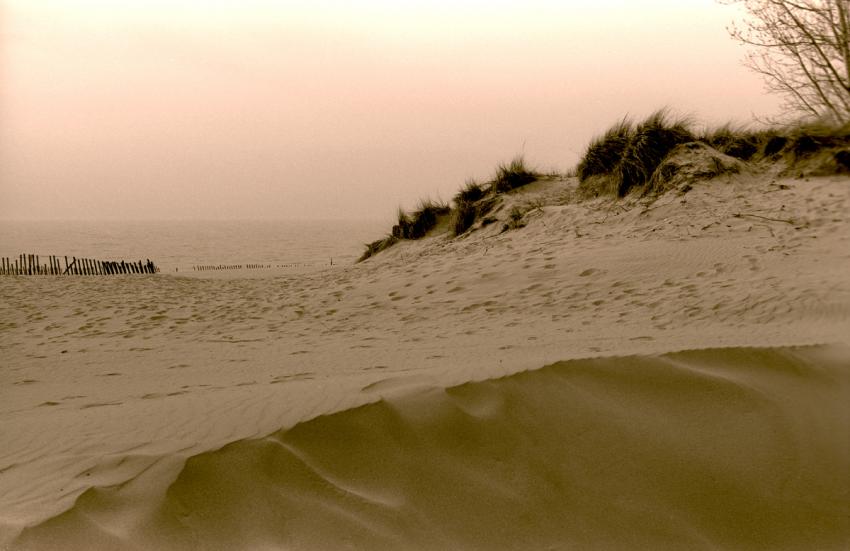 Silver Beach