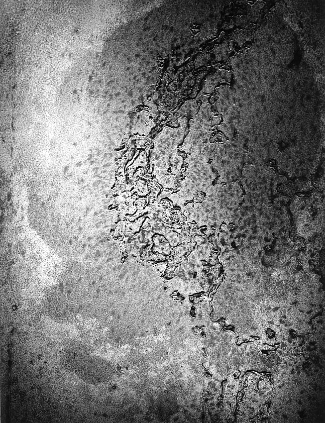 Silverprint 2