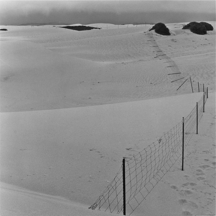 Since there's a dune theme happening in the gallery...