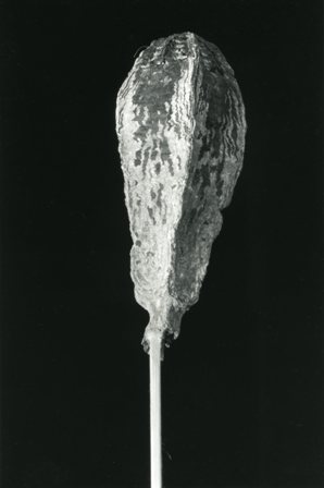 Single Pod