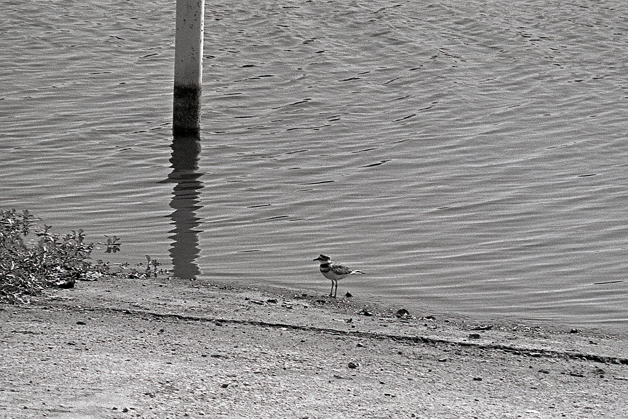 Sittin' On The Dock Of The Bay