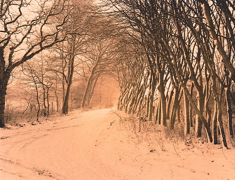 Skorping, Denmark I