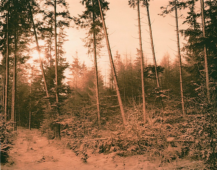 Skorping, Denmark