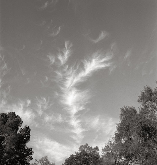 Sky Walk #3