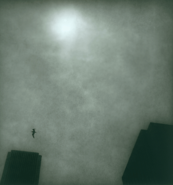skyline2
