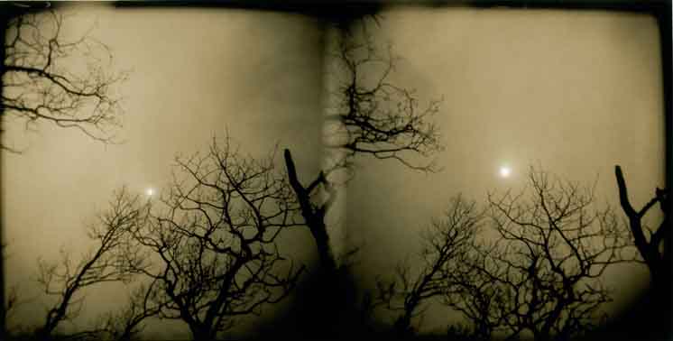 Skyward