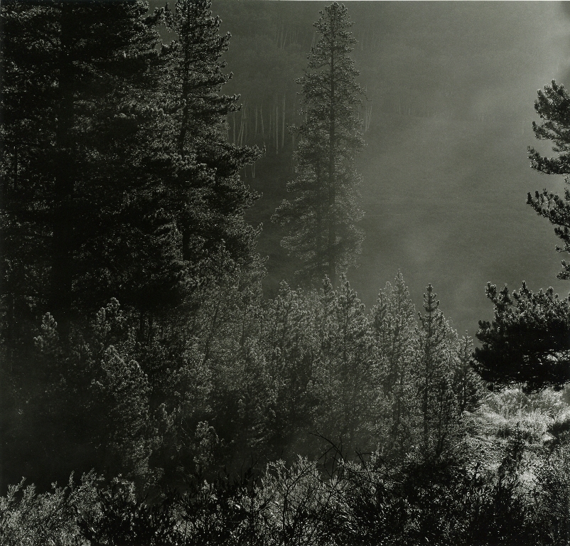Slate River Morning