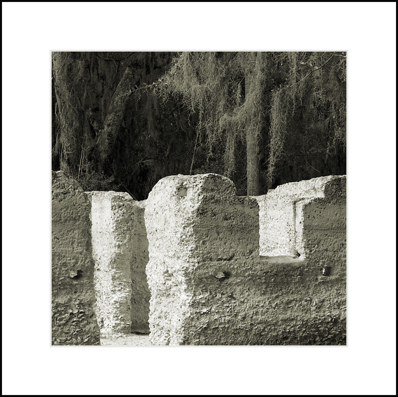 Slave Cabin and Spanish Moss