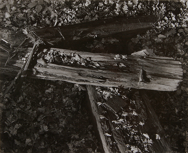 Sleepers, Himley Woods