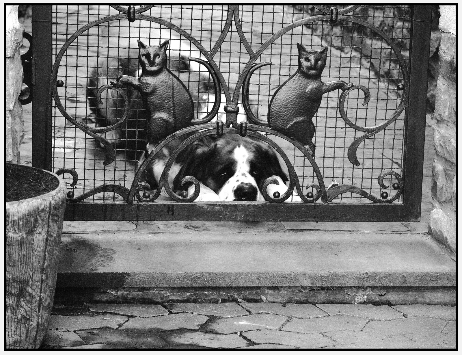 Sleeping on Guard ?
