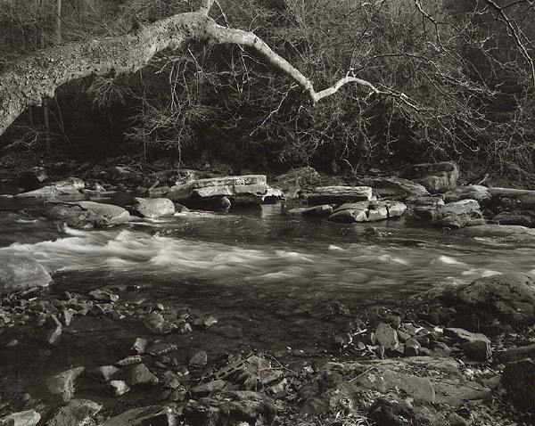 Slippery Rock Creek #3