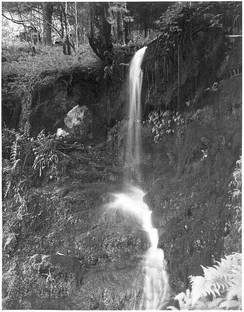 small fall #3