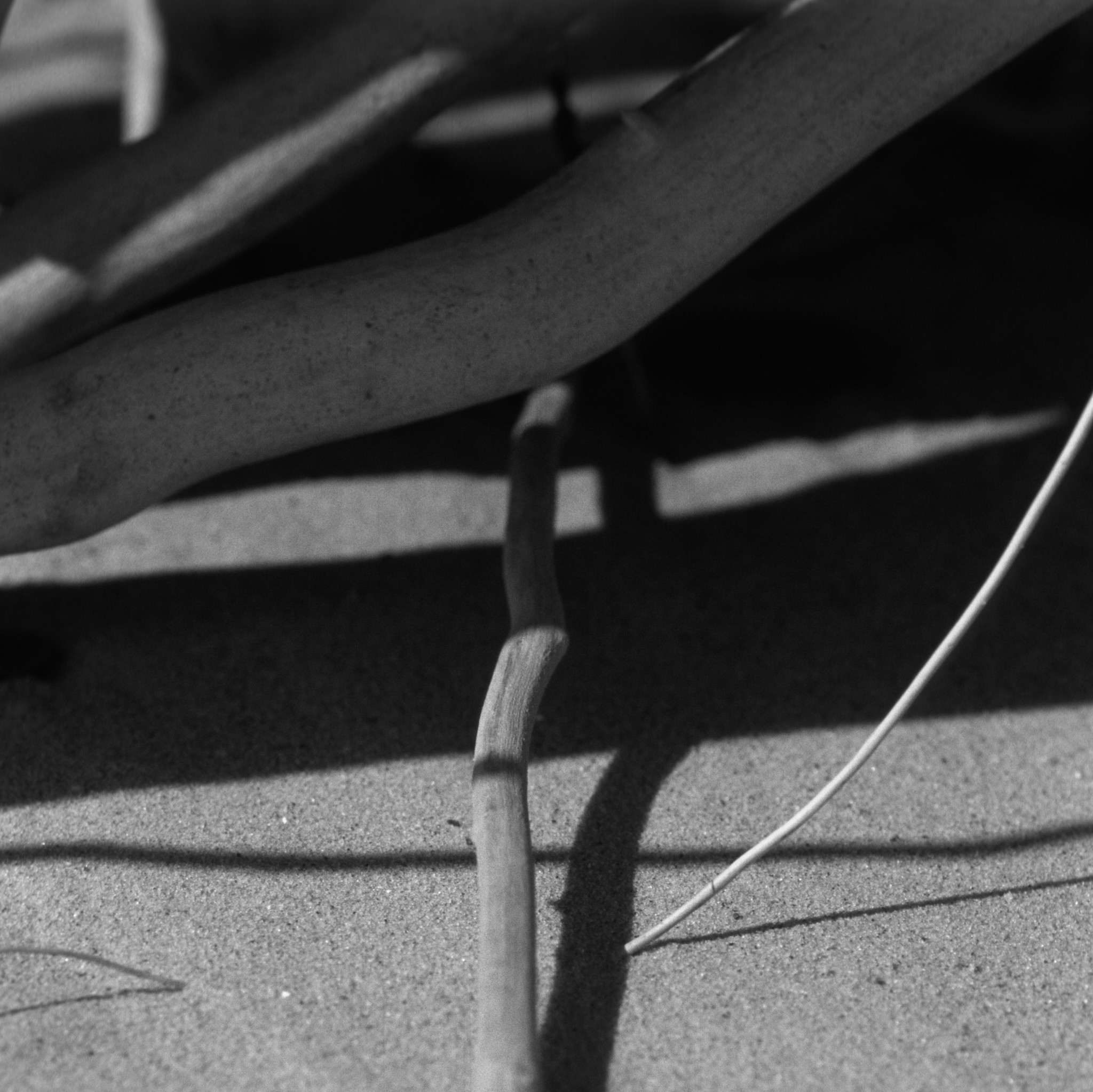 Small world of light and shadow on the sand -1