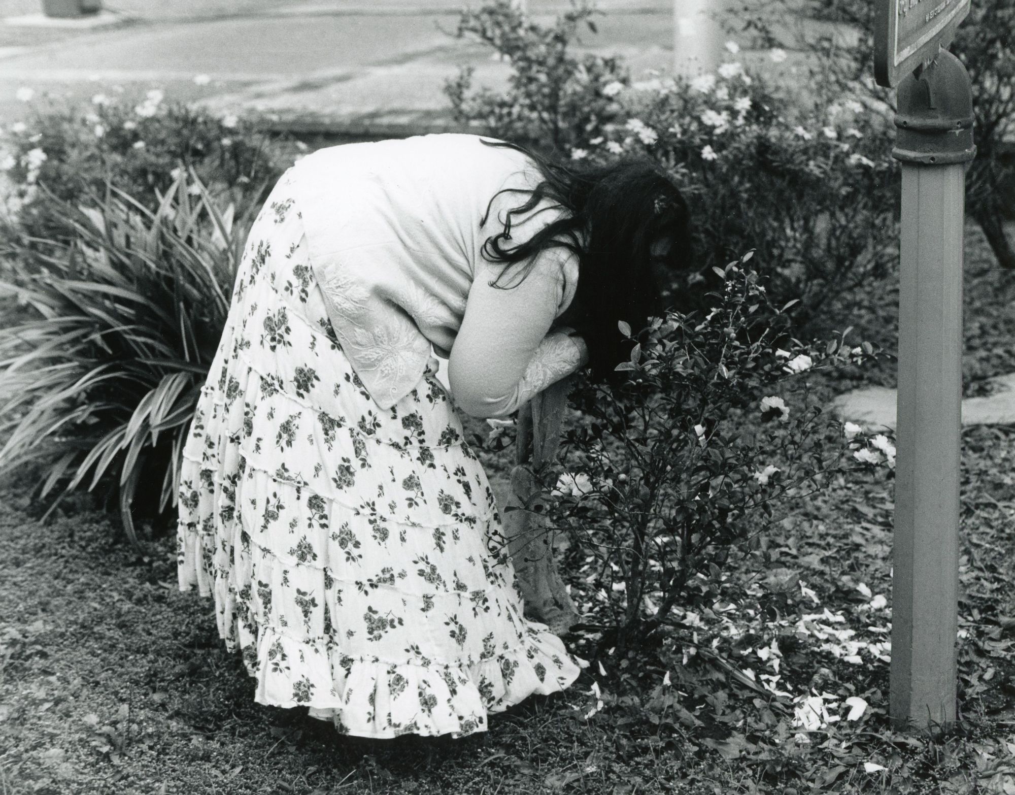 Smelling the Roses