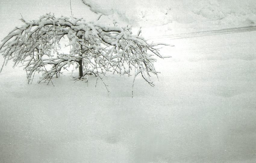 SNOW 2014!