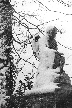 Snow Angel
