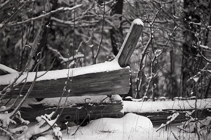Snow Covered Fence