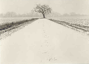 Snow covered road