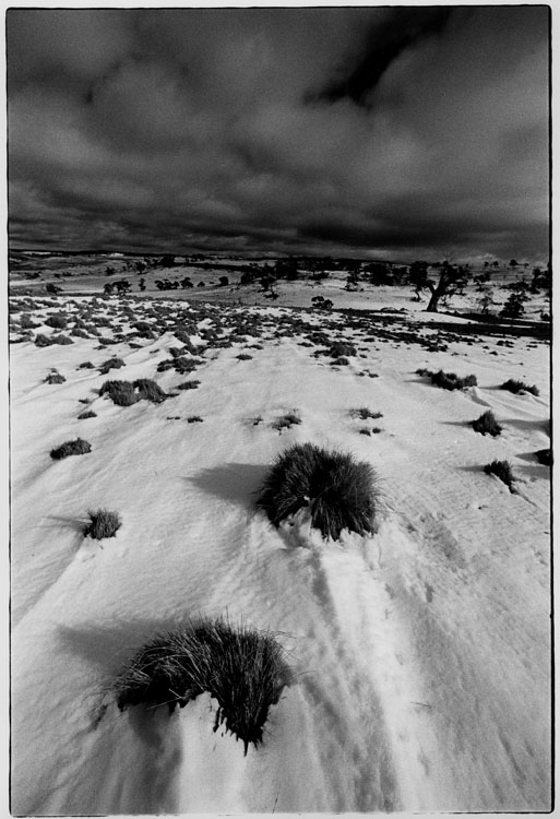 Snow drift