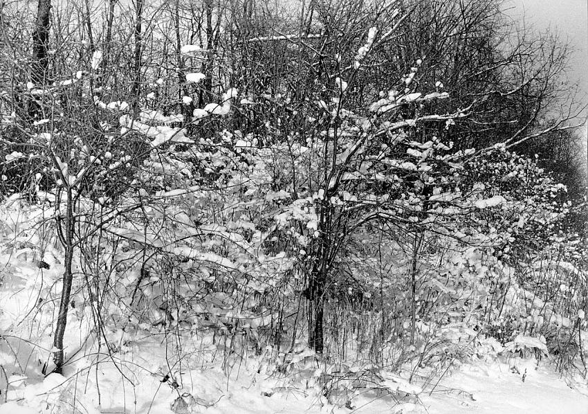 Snow fell