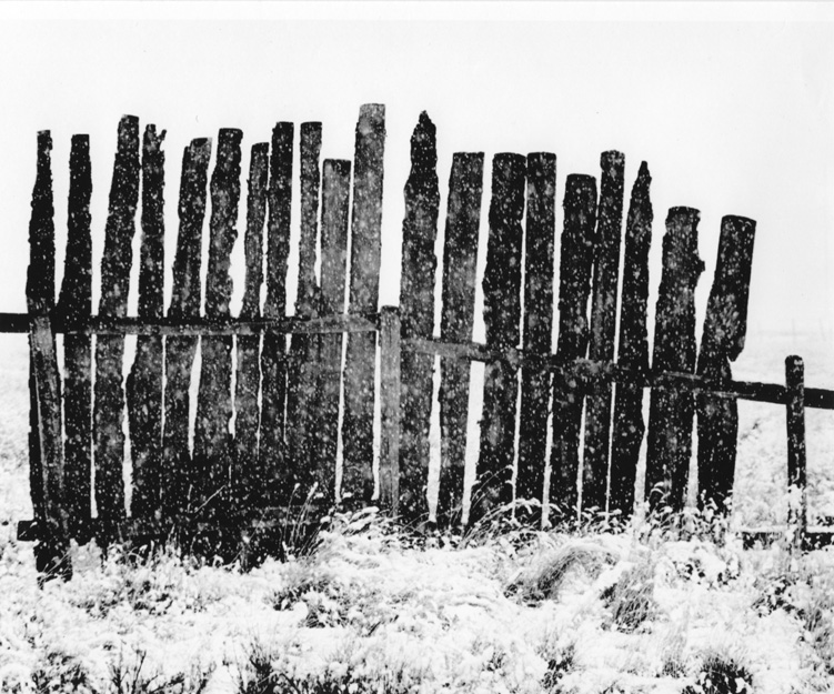 Snow Fence