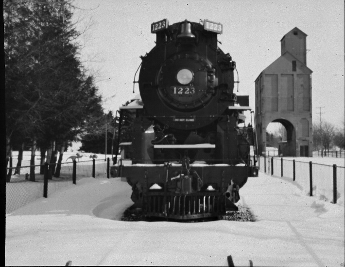 snow-locomotion