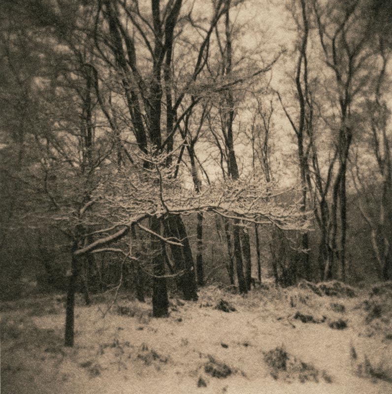 Snow on Ilford Art 300