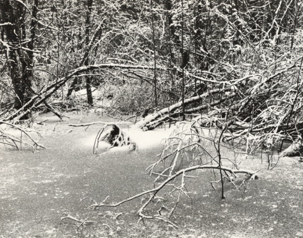 Snow Scene, Jingle Pot Rd.