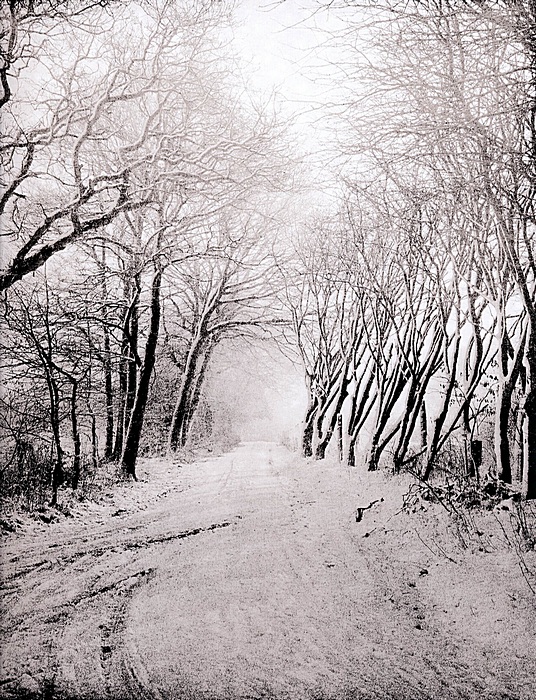 Snow scene