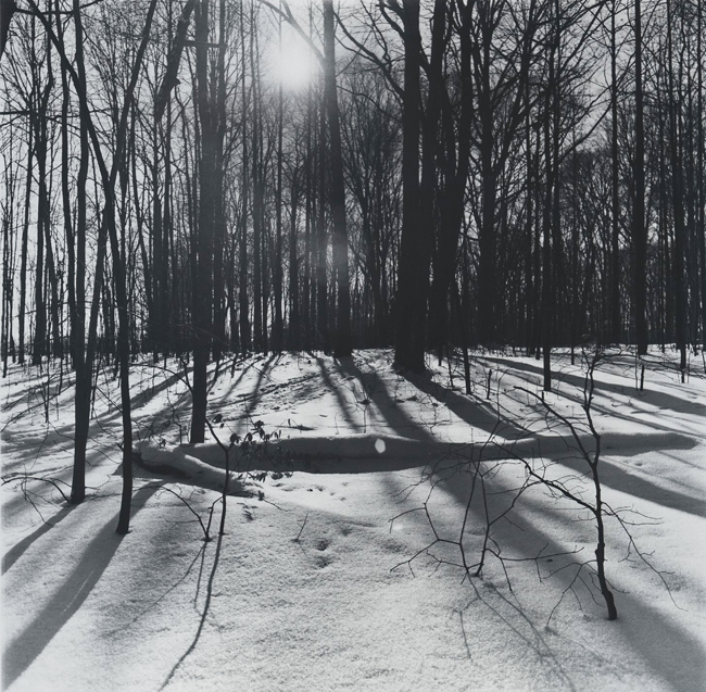 Snow Shadows, 1978