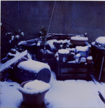 Snow still on the ground